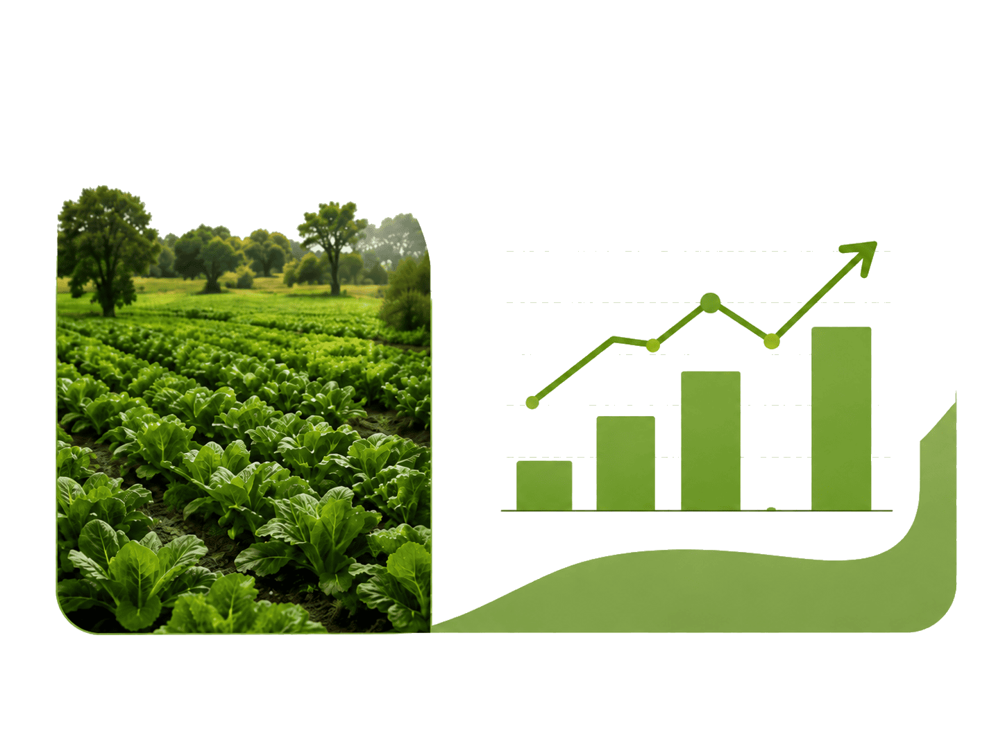 Measurable Impact