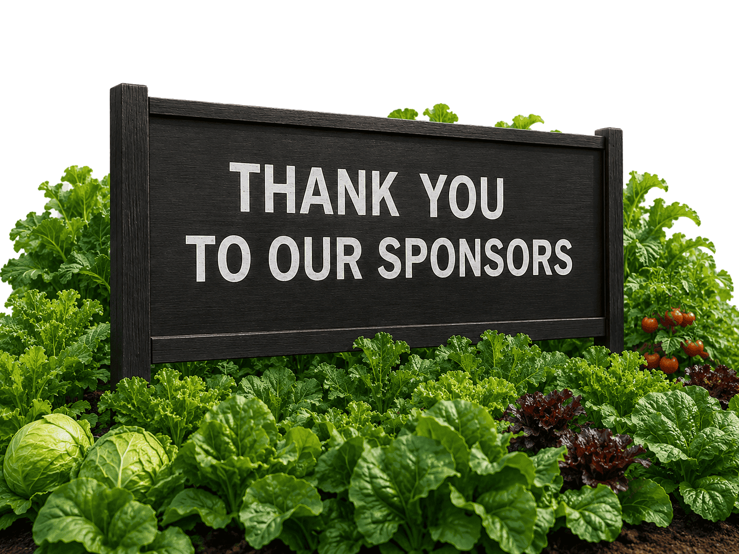 Sponsorship Opportunities