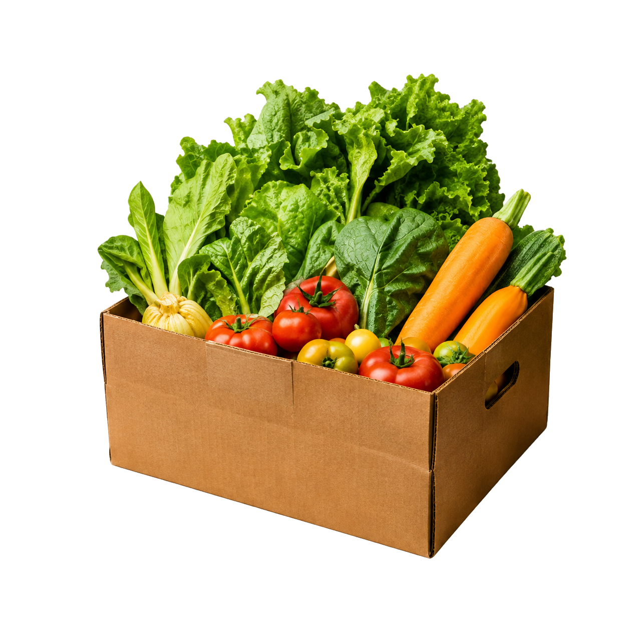 Feed a Community